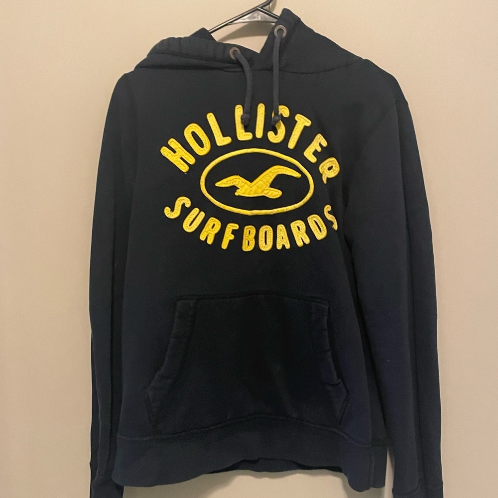 Hollister sweatshirt